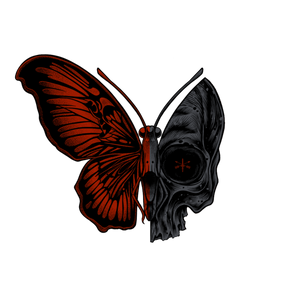 2alpha Training Group